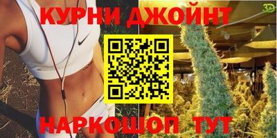 стаф Моздок