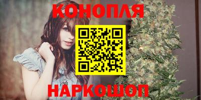 стаф Моздок