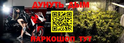 стаф Моздок