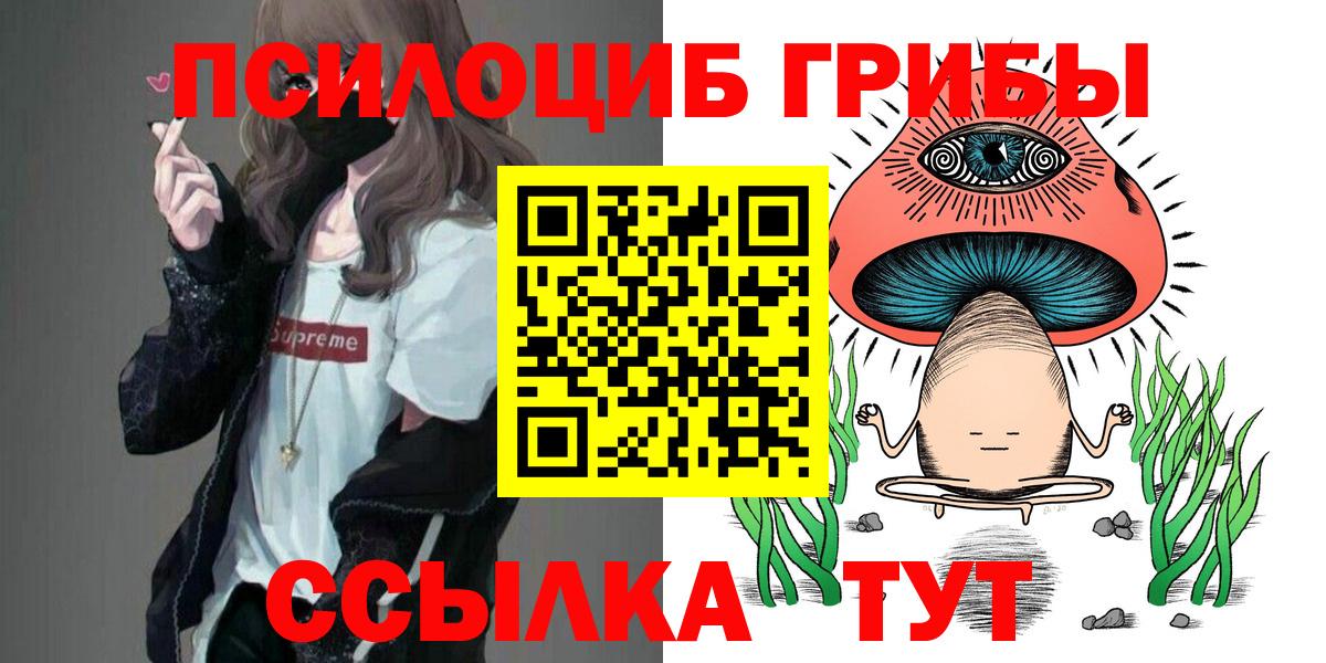 Псилоцибиновые грибы Psilocybe  Псилоцибиновые грибы мицелий  Дедовск  Вход с VPN 