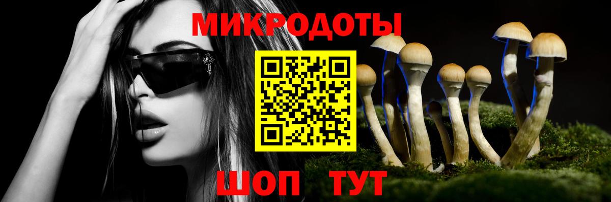 Галлюциногенные грибы мицелий Дедовск